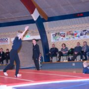 20190331__jos7213